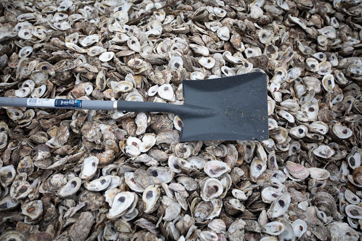 Inland Restaurants Join Forces with Coastal Researchers to Restore Texas Oyster Reefs