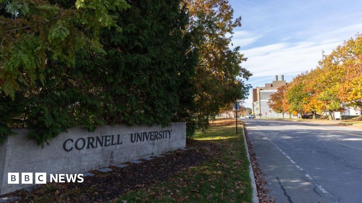 Cornell University Rape Allegations Back Before Grand Jury as Prosecutors Reopen Case