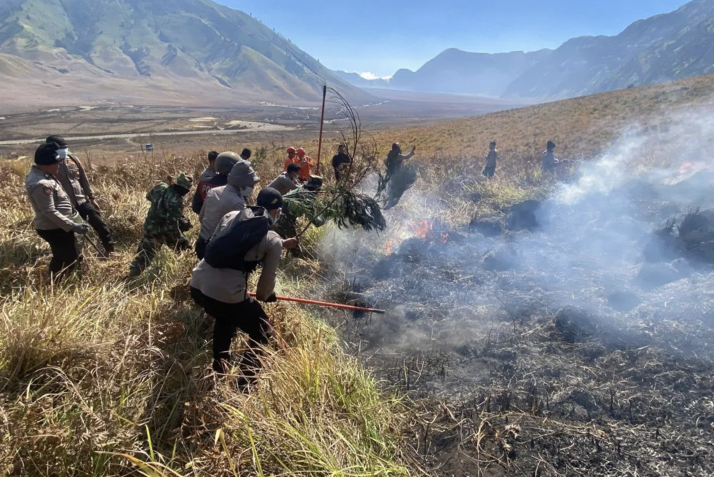 Kebakaran Bromo Meluas, Lahan Terbakar Capai 10 Hektare