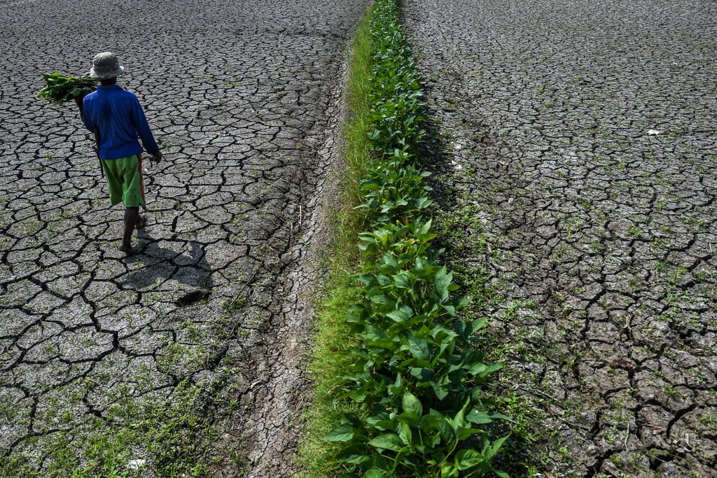 Ketahanan Air Nasional: Solusi Atasi Krisis Kemarau Berulang