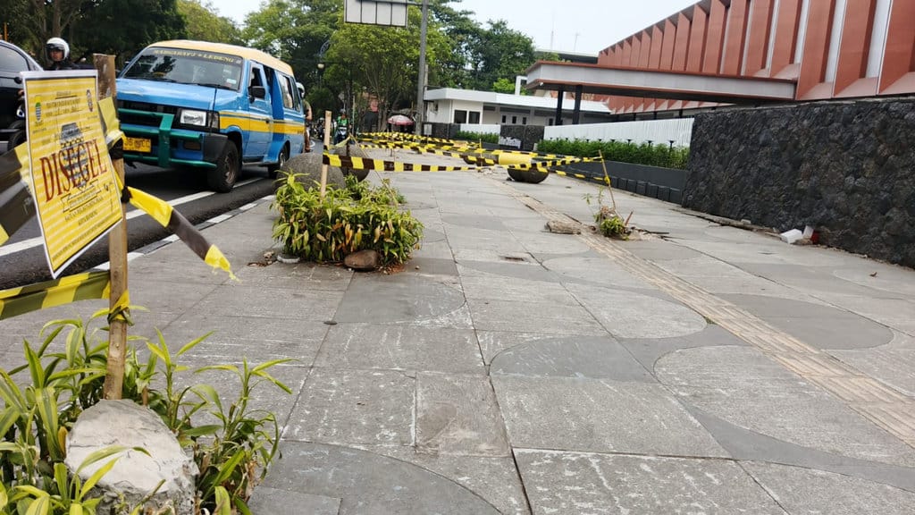 Pohon Tumbang Demi Lapangan Padel: Verifikasi Dampak pada Suhu Kota