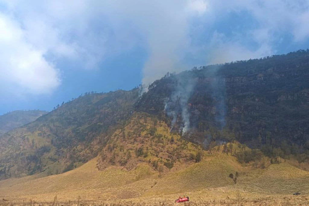 Kebakaran Savana Bromo Capai 80 Hektare, Pemadaman Terkendala Medan