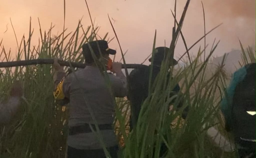 Kebakaran Hutan Way Kambas Dipadamkan, Personel Gabungan Masih Bersiaga