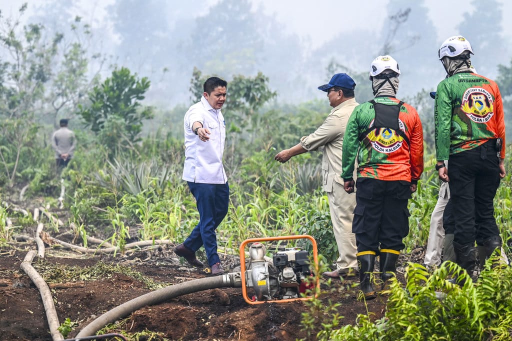 Empat Korporasi di Kalbar Diselidiki Atas Dugaan Pembakaran Hutan dan Lahan