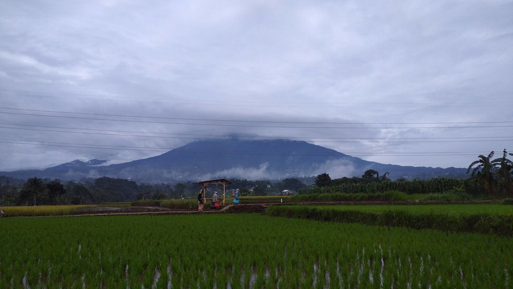 Kebakaran Hutan Gunung Gede Meluas, Kawah Wadon Jadi Titik Panas Utama