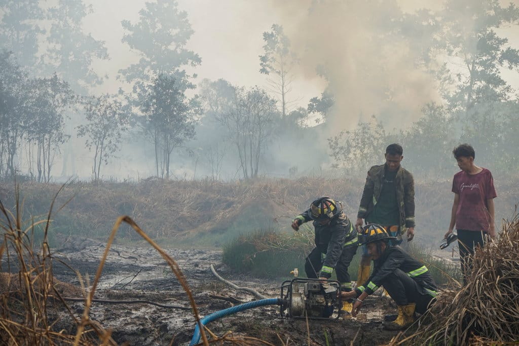 Kemenhut Desak Perusahaan Swasta dan Inhutani Periksa 14 Titik Panas Kalsel
