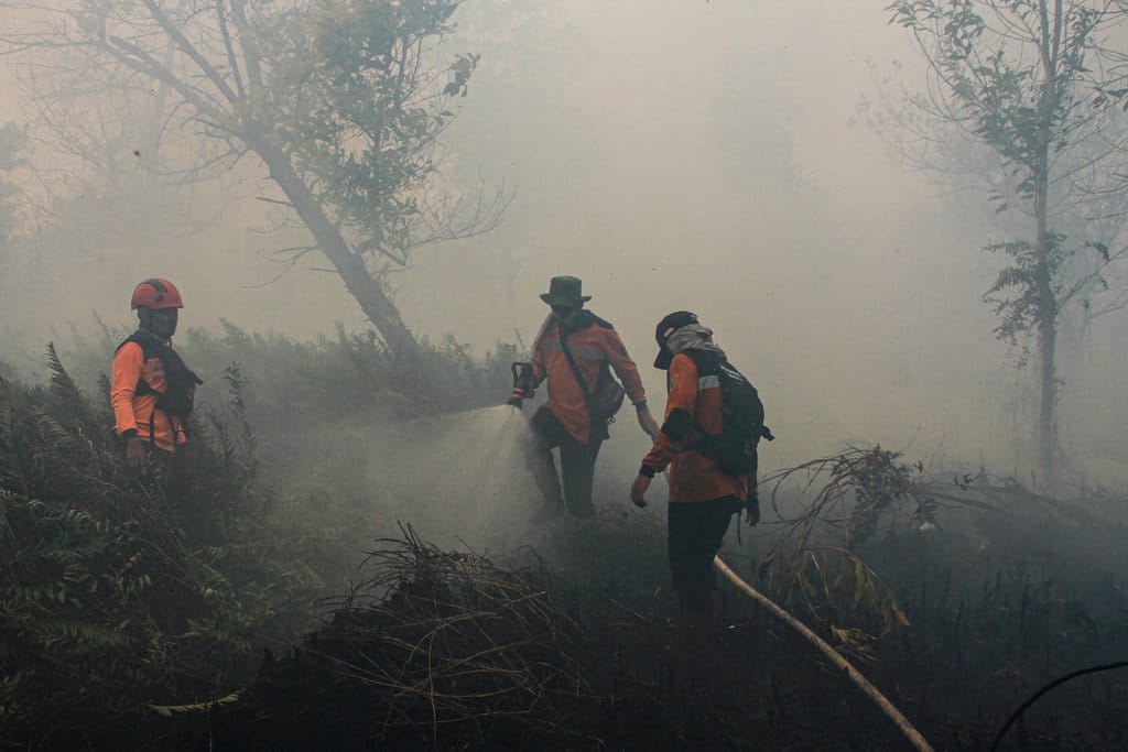 Kabut Asap Kembali Menyelimuti Kalimantan, Warga Pertanyakan Penanganan Pemerintah