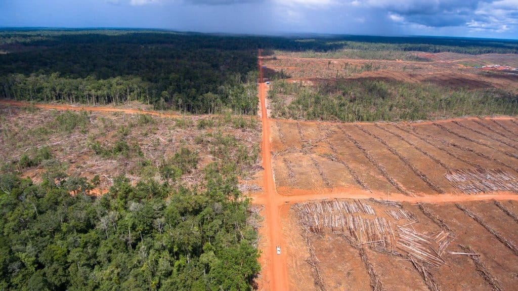 Papua Gundul, Target Iklim Indonesia Terancam