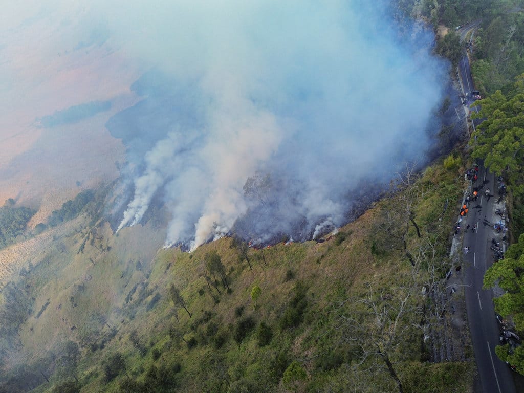 Rentan Karhutla, Bromo Butuh Sarana Pencegahan Lengkap
