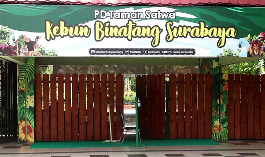 Fakta Baru Korupsi Kebun Binatang Surabaya: Eks Dirut Tersangka