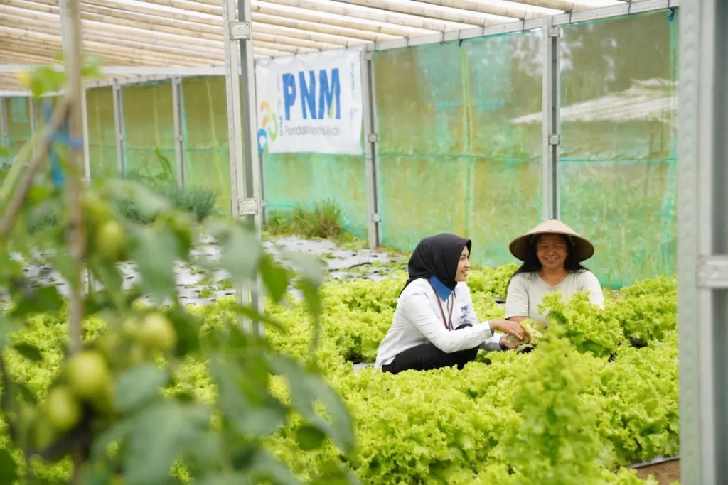 Suku Bunga PNM Mekaar Dipangkas 8 Persen per September untuk Perkuat Ultra Mikro