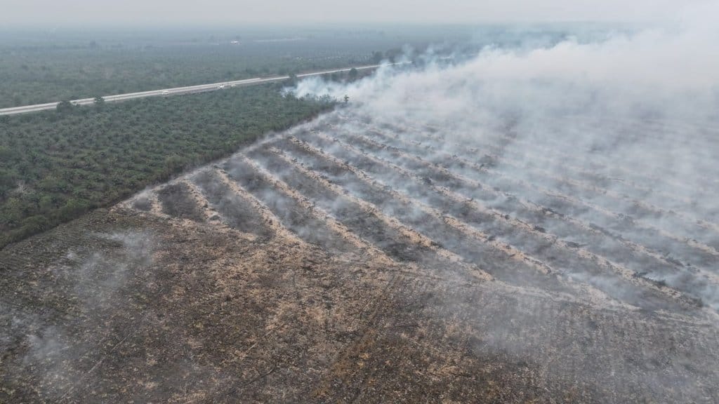 Alat Berat Ratakan Lahan Terbakar di Sumsel, Dugaan Kesengajaan Menguat