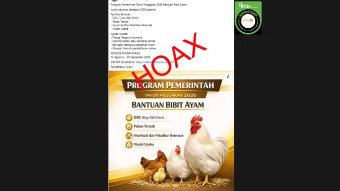 Hoaks Berkedok Bantuan Bibit Ayam 2026 dari Pemerintah