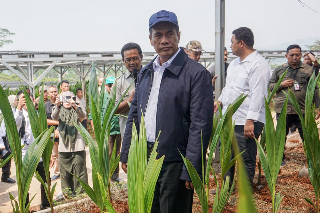 Amran Ungkap Kerugian Negara Rp98 Triliun dari Beras Fortifikasi Palsu