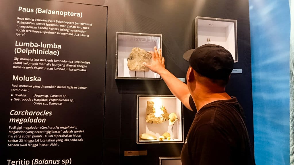 Museum Megalodon Gunungsungging dan Fosil Hiu Purba Sukabumi