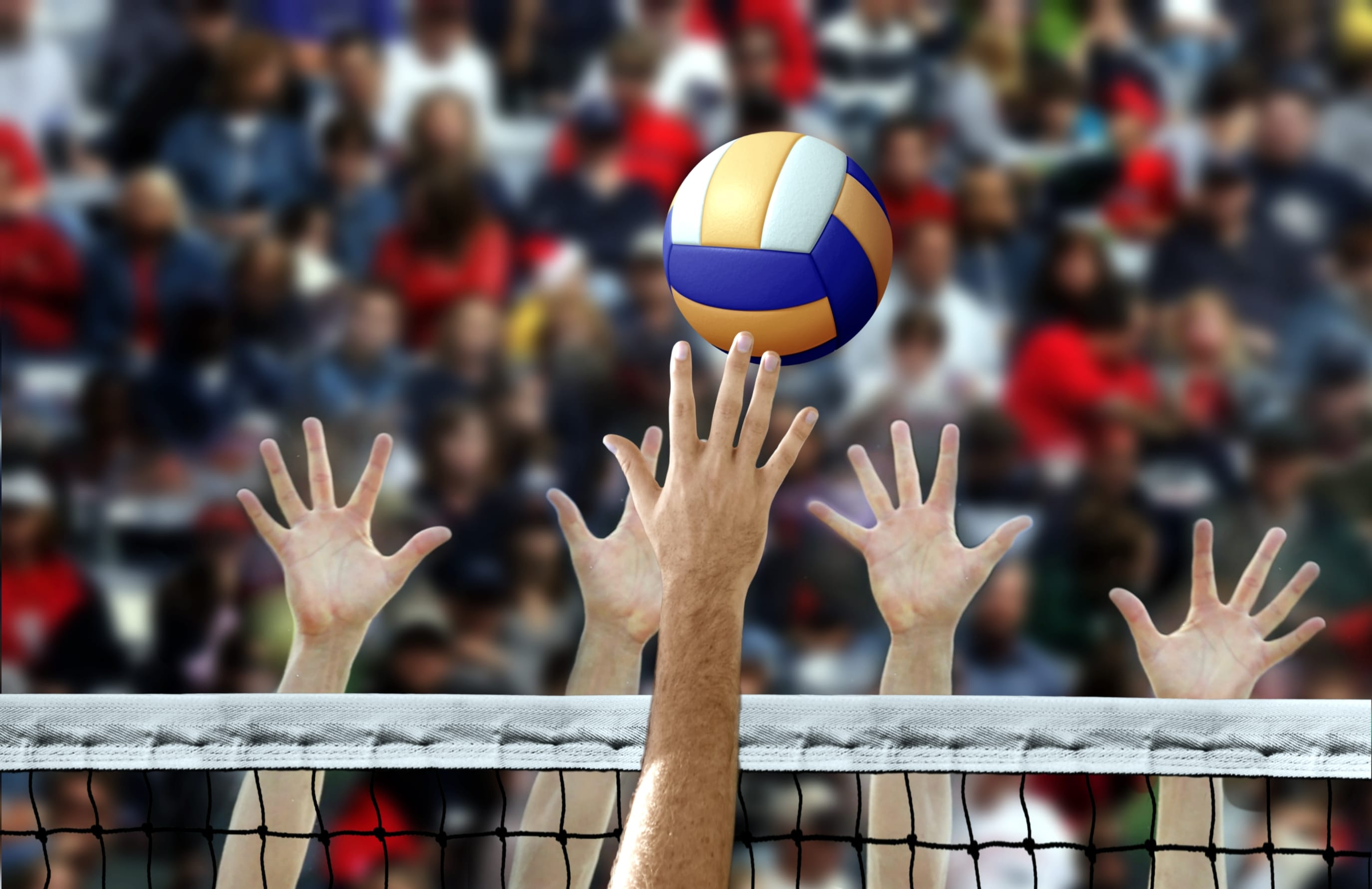 Perjalanan Karier Venisa Dwi, Outside Hitter Muda Andalan Timnas Voli Putri