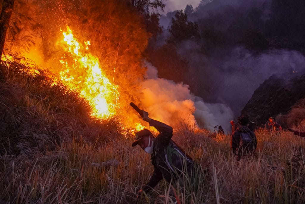 Verifikasi Klaim Penanganan Kebakaran Bromo yang Reaktif dan Salahkan Alam