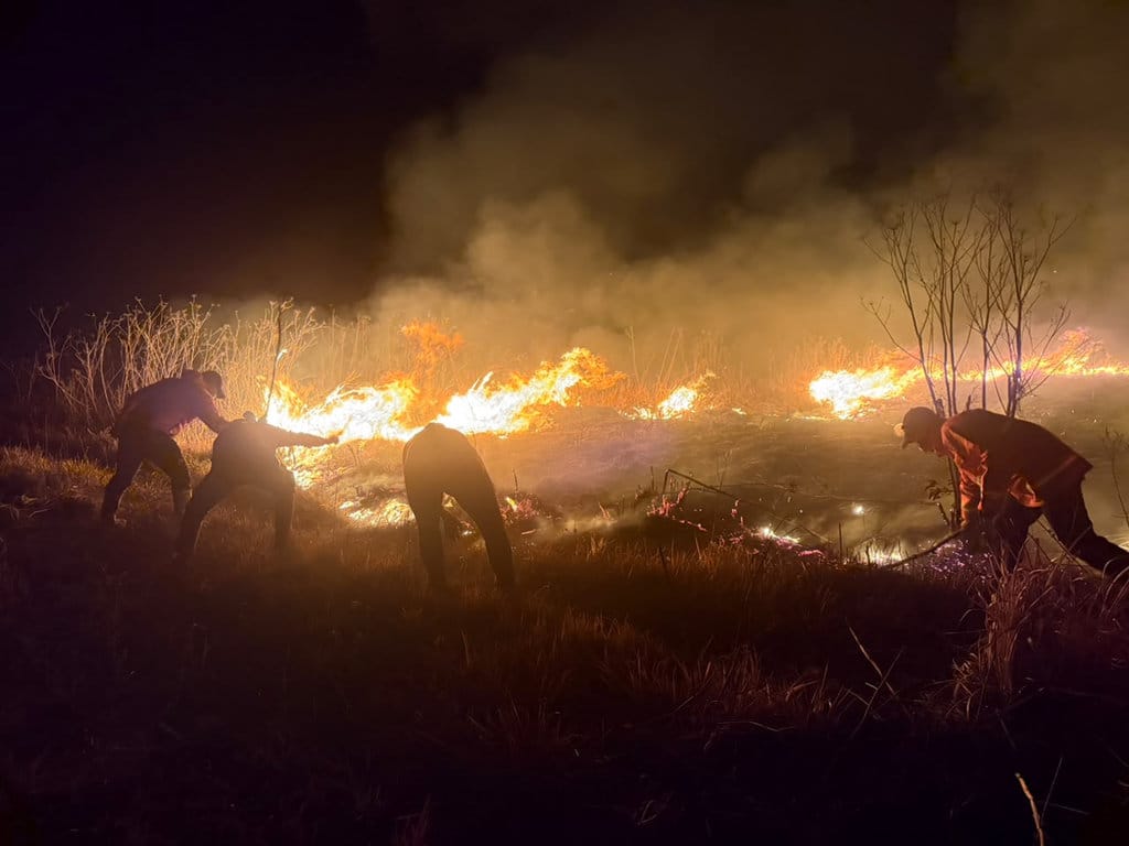 Karhutla Bromo Hanguskan 176 Hektare, Dua Helikopter Dikerahkan BNPB