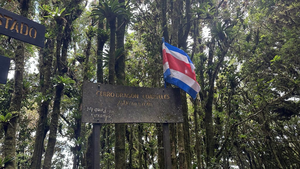 Reforestasi Kosta Rika vs Deforestasi Indonesia: Perbandingan