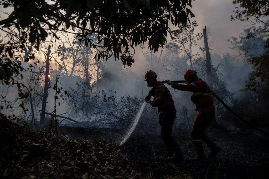 Sumsel Waspada Puncak Suhu Maksimum dan Risiko Kebakaran Lahan