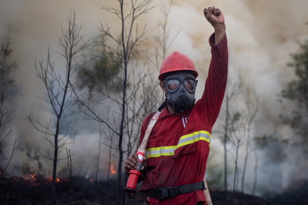 Walhi Sumsel Soroti Ketimpangan Penegakan Hukum Karhutla