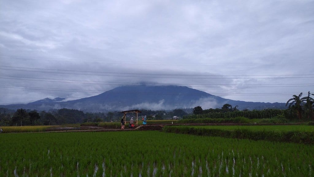 Verifikasi Klaim Kebakaran Gunung Gede dan Kawah Wadon