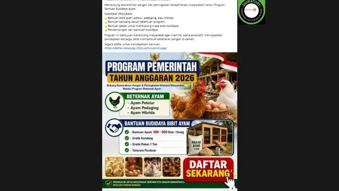 Cek Fakta: Link Bantuan Bibit Ayam 2026 dari Pemerintah