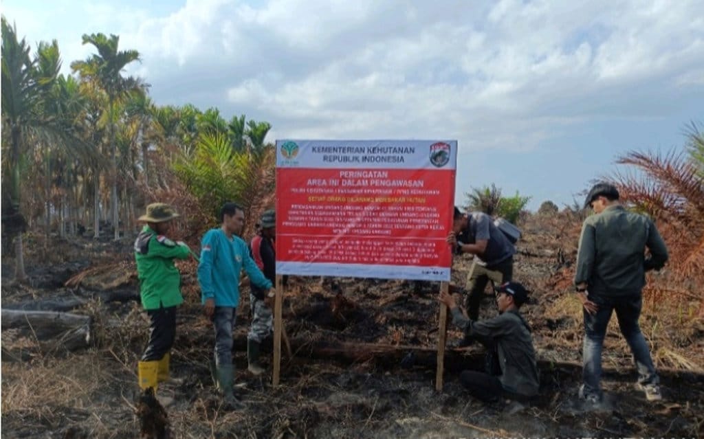Kemenhut Segel 25 Hektare Bekas Karhutla PT TCP di Musi Banyuasin