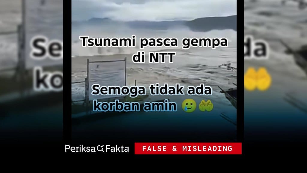 Hoaks: Video Tsunami Besar Pasca Gempa 7,7 NTT, Ternyata Rekaman Topan Fung-wong