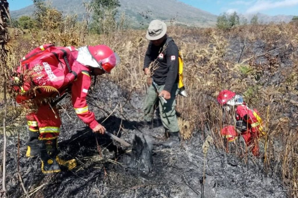 Verifikasi Klaim Kemenhut Padamkan Karhutla Rinjani