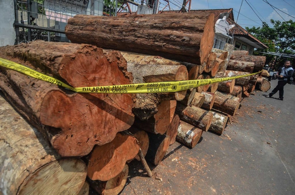 Enam Tersangka Pembalakan Liar di Riau Ditetapkan Kementerian Kehutanan