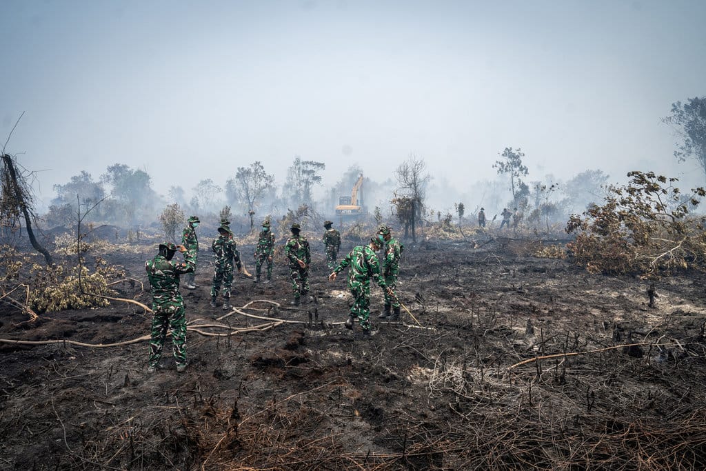 Enam Perusahaan Kalimantan Barat Dijatuhi Sanksi Akibat Karhutla