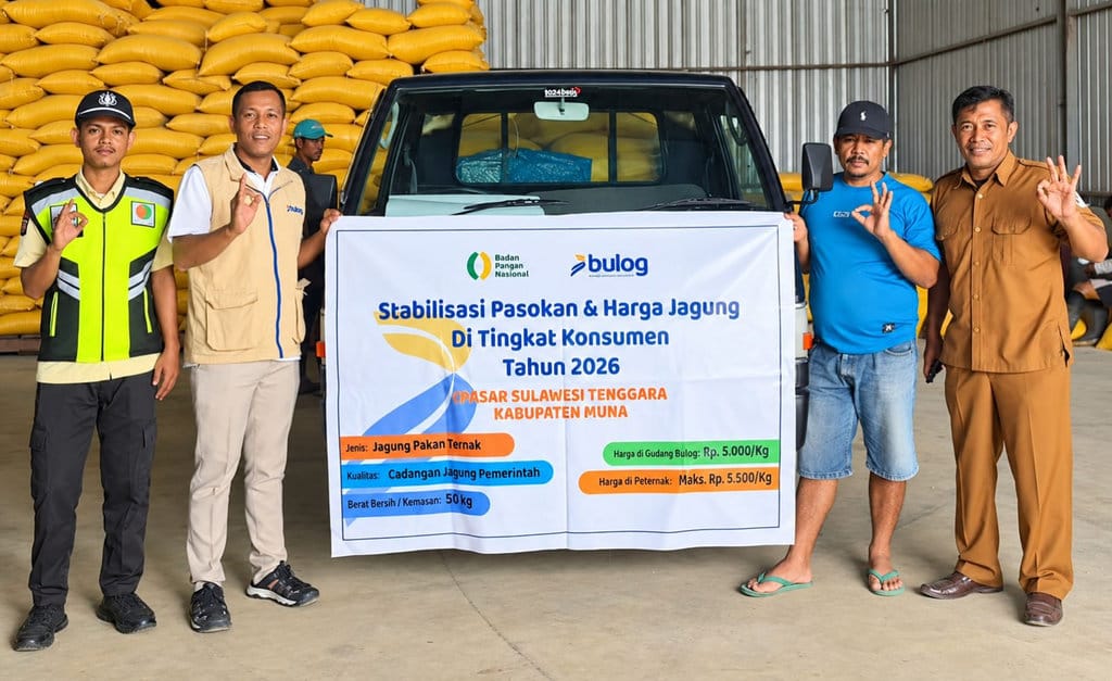 BULOG Percepat Salurkan Jagung Pakan, Stok Nasional Diklaim Aman