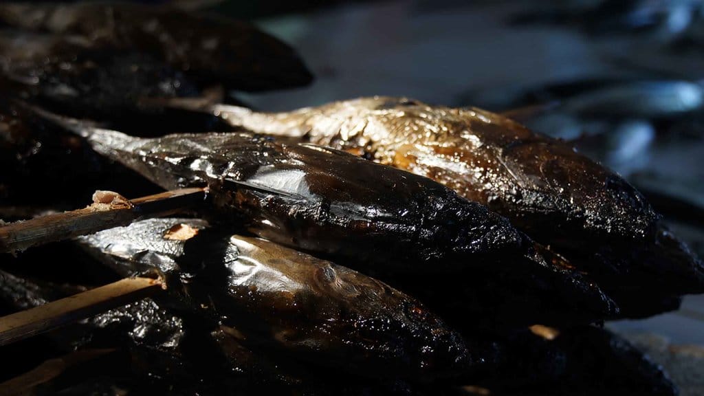 Ikan Kayu dan Asap Masuk Resi Gudang, Akses Modal Makin Luas