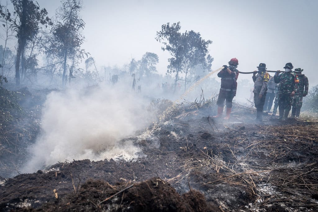 Larangan Membakar Lahan Harus Mutlak Tanpa Pengecualian