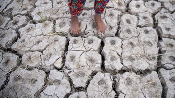 El Nino 2026 Menguat, Suhu 2027 Berisiko Pecahkan Rekor