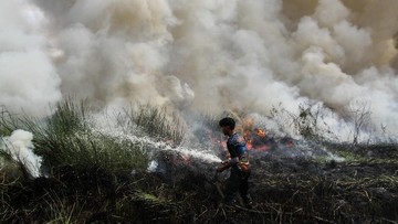 Aktivis Ungkap Karhutla Kalimantan Erat dengan Pembukaan Lahan