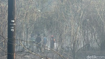 72 Tersangka Karhutla Dibekuk, Modus Bakar Lahan Demi Hemat Biaya