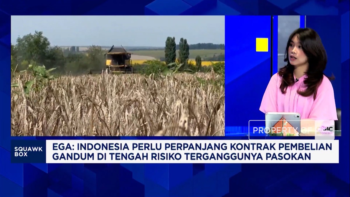 Ketergantungan Impor Gandum di Tengah Perang: Ujian Ketahanan Pangan Indonesia