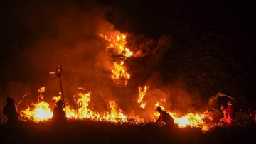 Karhutla Bromo Menyusut, Dua Titik Api Tersisa di Lapangan