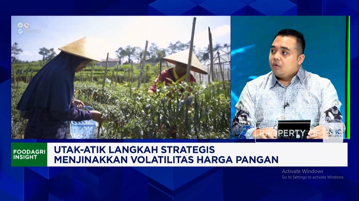Dua Pesawat Cabai Aceh Terbang ke Jawa Berkat Analisis Data dan Teknologi