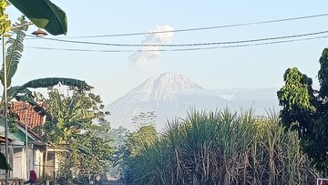 Semeru Erupsi Beruntun Sejak Pagi, Kolom Abu Tembus Satu Kilometer