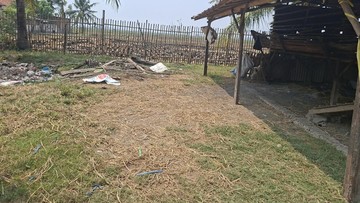 Polisi Buru Pelaku Pencurian Puluhan Kambing yang Disembelih di Sawah