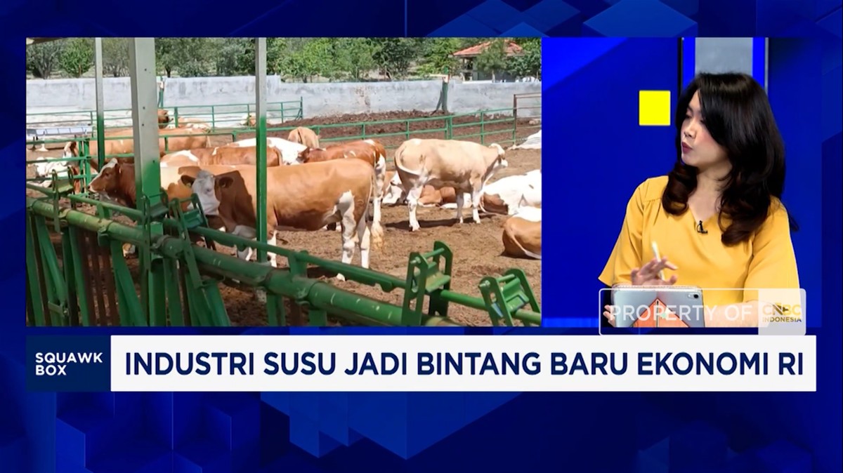 Program MBG Dongkrak Kebutuhan Susu, 75 Persen Masih Impor