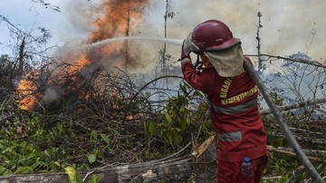Tiga Hambatan Utama Bikin Api Karhutla Sulit Dipadamkan