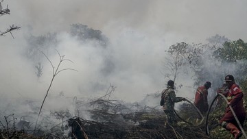 Daniel Johan Minta Karhutla Kalimantan Ditetapkan Bencana Nasional