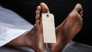 Akhir Tragis Pencuri Ayam Aduan: Dikeroyok Massa hingga Tewas di Tabanan