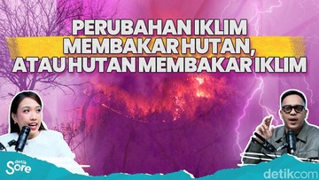 Kebakaran Hutan Makin Meluas, Akibat Iklim atau Kelalaian Manusia?