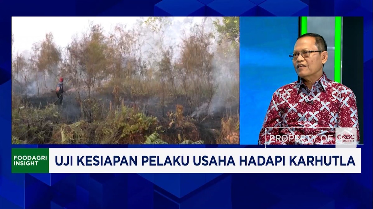 Pengusaha Hutan Andalkan Drone dan CCTV Deteksi Dini Titik Api