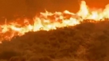 Kebakaran Hutan di Uncastillo, Spanyol Utara, Paksa 600 Warga Mengungsi